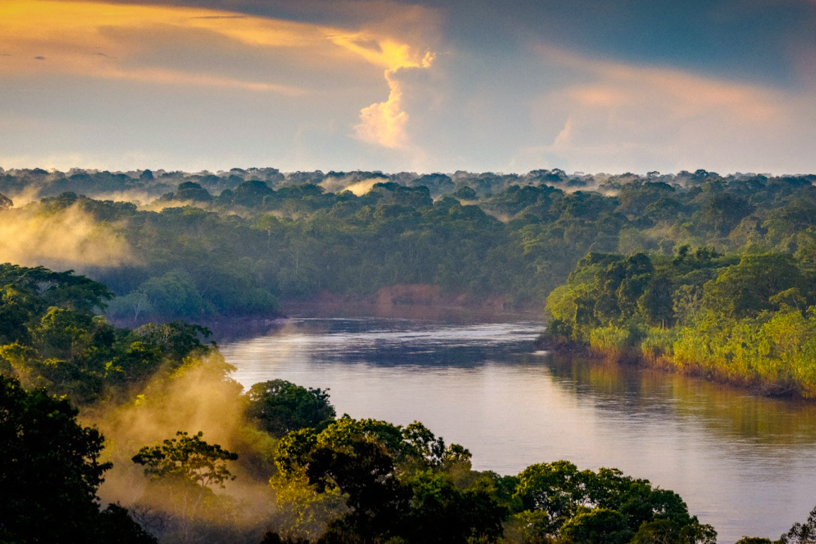 Wired Amazon - Rainforest Expeditions
