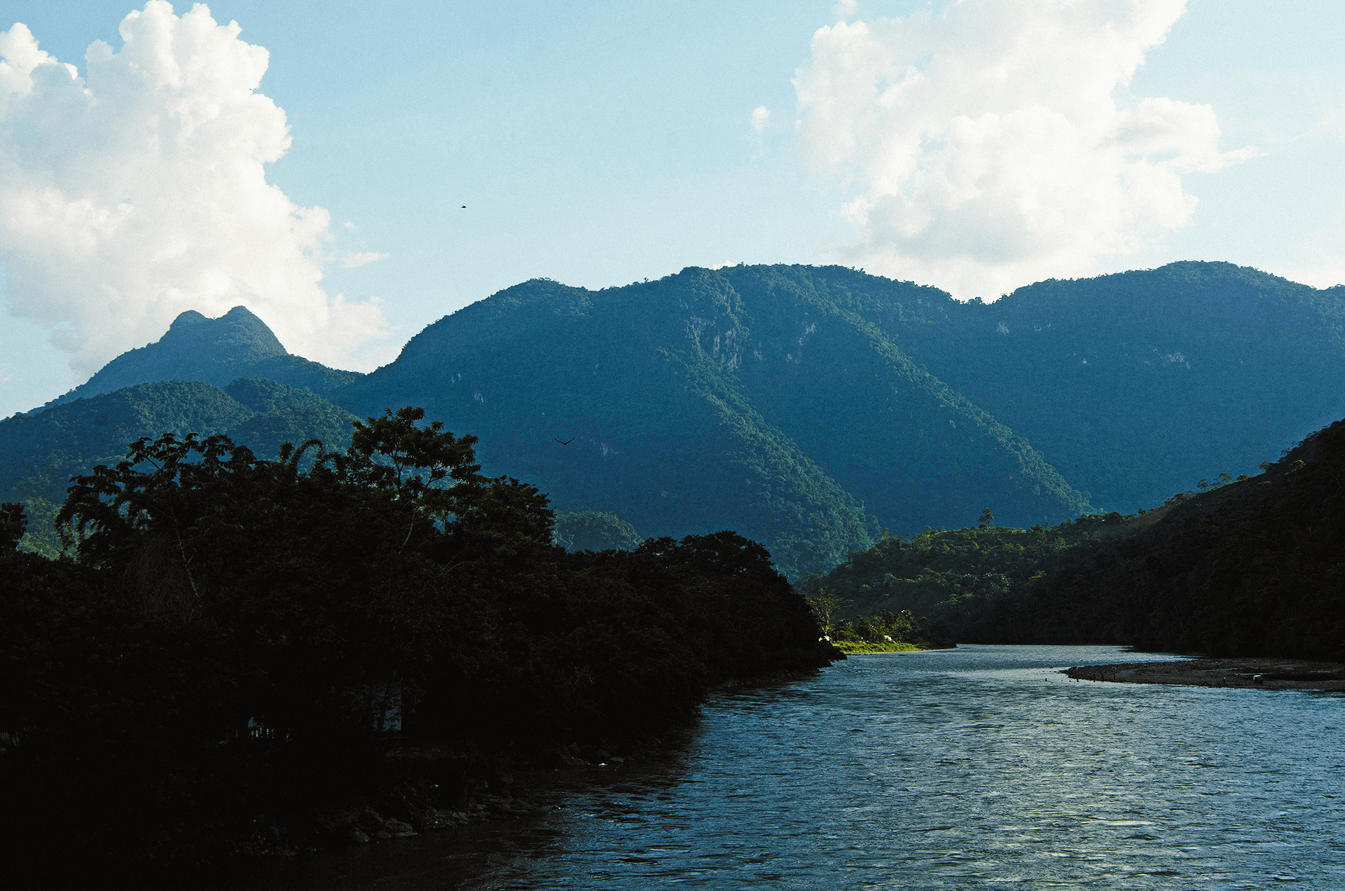 Parque Nacional Tingo María